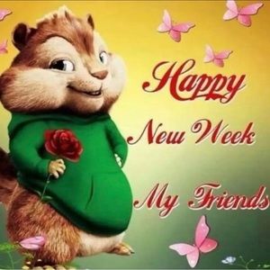 Meet your Posher, Annmarie